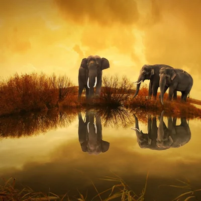 The Fediverse is so much bigger than Mastodon