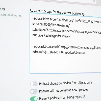 Add your own RSS custom tags